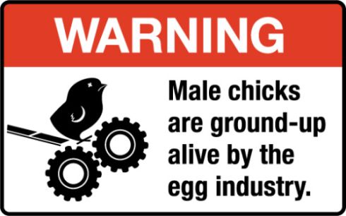 Warning: Chicks.