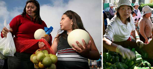 Patrons of a food pantry in Oakland.  Photos by David Bacon.