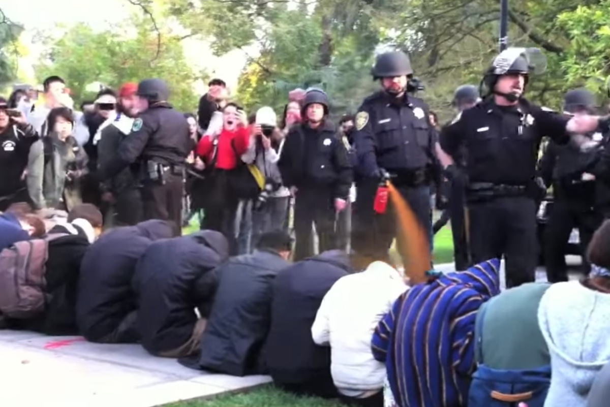 Police pepper spray students at a UC Davis demonstration on Friday, November 18.