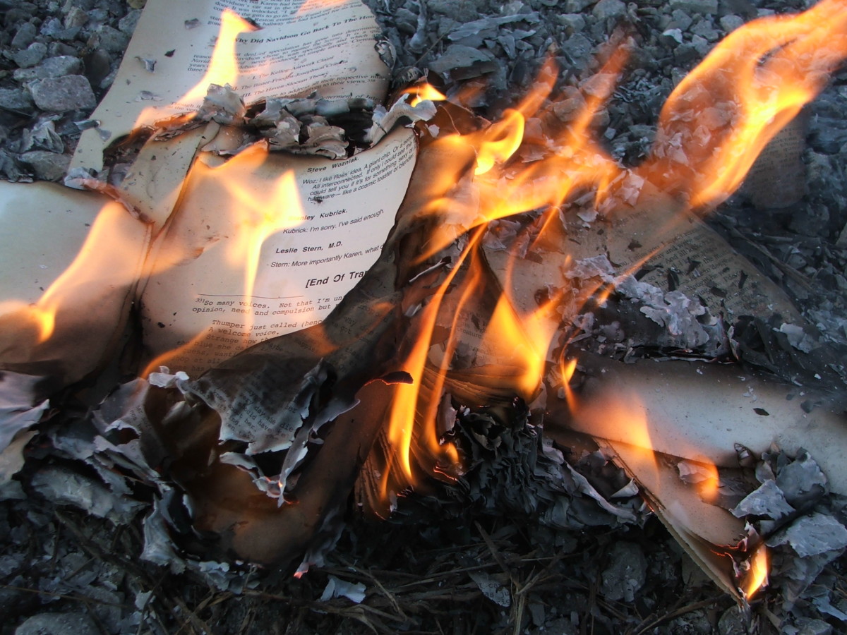 Burning books