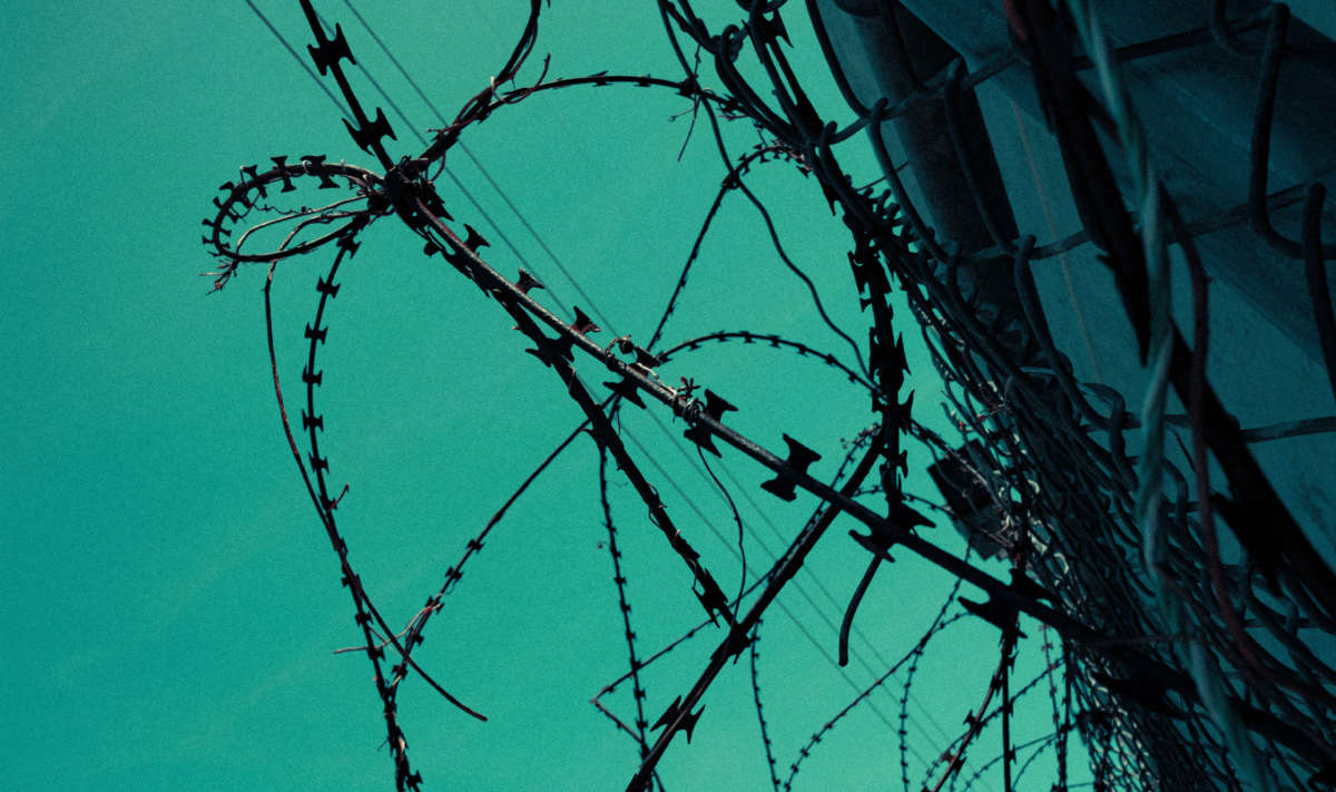 Barbed wire over green sky