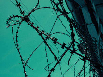 Barbed wire over green sky