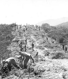 Restore America to Its People: Revive the Civilian Conservation Corps ...