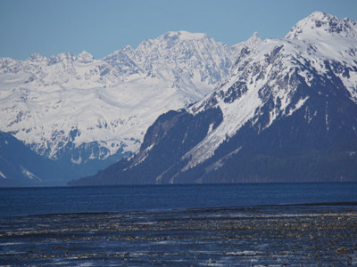 Cordova, Alaska, is one of the most biologically sensitive areas in the Northern Hemisphere. It is located close to the Navy’s training area, where it is permitted to release tons of toxic materials.