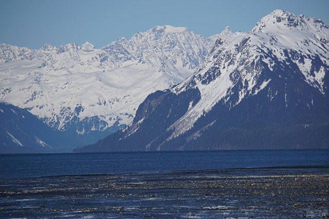 Cordova, Alaska, is one of the most biologically sensitive areas in the Northern Hemisphere. It is located close to the Navy’s training area, where it is permitted to release tons of toxic materials.