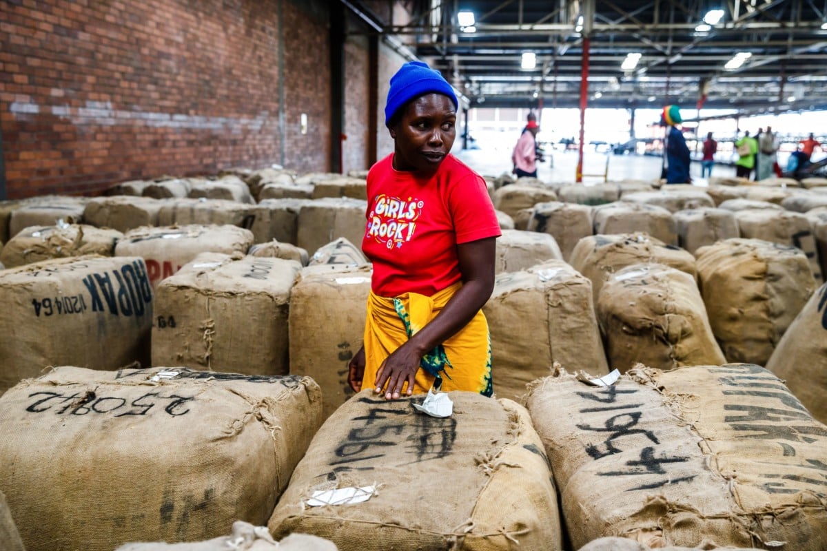 A farmer looks for her bales and compares prices during the official opening of the tobacco selling season in Harare.