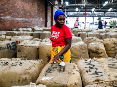 A farmer looks for her bales and compares prices during the official opening of the tobacco selling season in Harare.