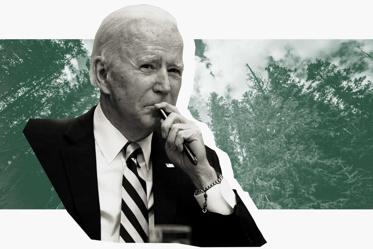 President Joe Biden seen in front of trees in Kootenai National Forest