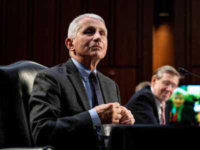 Dr. Anthony Fauci, Director at the National Institute Of Allergy and Infectious Diseases, is seen during a hearing with the Senate Committee on Health, Education, Labor, and Pensions on the COVID-19 response on Capitol Hill on March 18, 2021, in Washington, D.C.