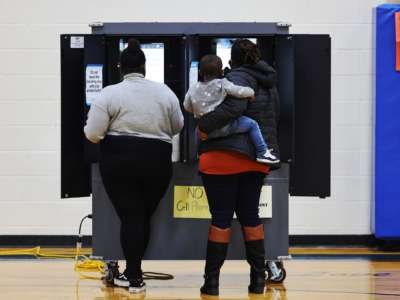 People cast their votes at a voting machine