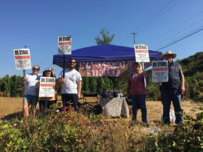 People near a tent hold signs reading "Nabisco strike"