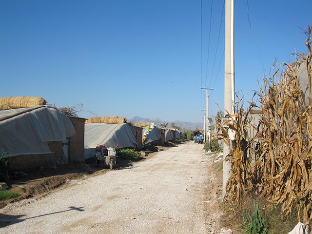 Green houses, Horticultural village, periphery of Beijing. (Photo: Evaggelos Vallianatos)