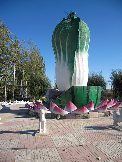 Cabbage statue in a bowl of lotus flowers, Horticultural village. (Photo: Evaggelos Vallianatos)