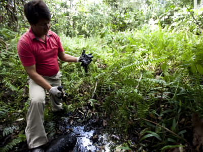 Crude contaminates an open toxic pool in the the Ecuadorian Amazon rainforest near Lago Agrio. It was abandoned by Texaco (now Chevron) after oil drilling operations ended in 1990 and was never remediated.