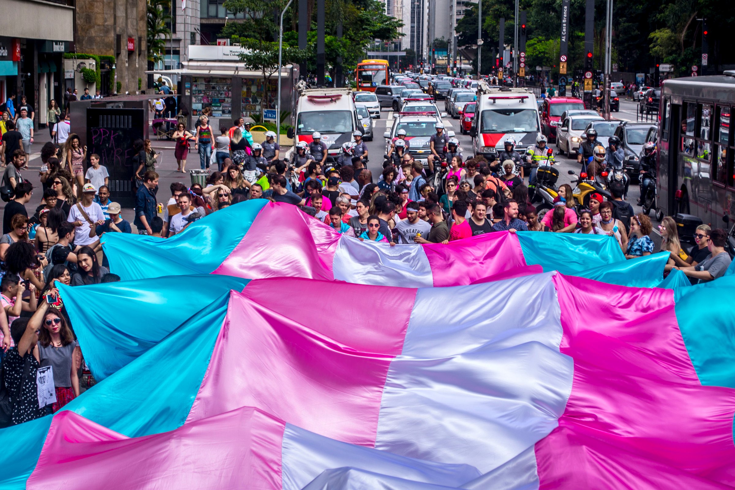 Afro Brazilian Trans Women Fight Pervasive Racialized Misogyny Truthout