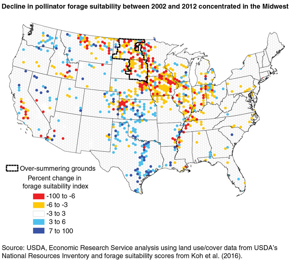 Conversation of grasslands to large-scale monoculture farms in the Midwest and northern Great Plains has reduced suitable habitat for pollinators.