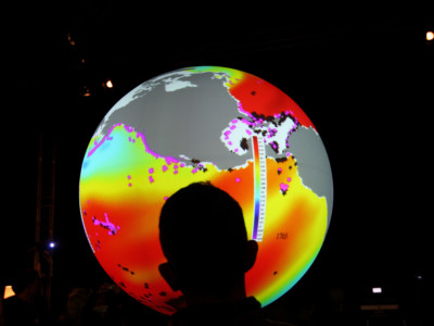 A man watches an animated projection showing different acidity levels in the ocean, inside the US Center 09 during the second day of the United Nations climate change conference on December 8, 2009, in Copenhagen, Denmark.