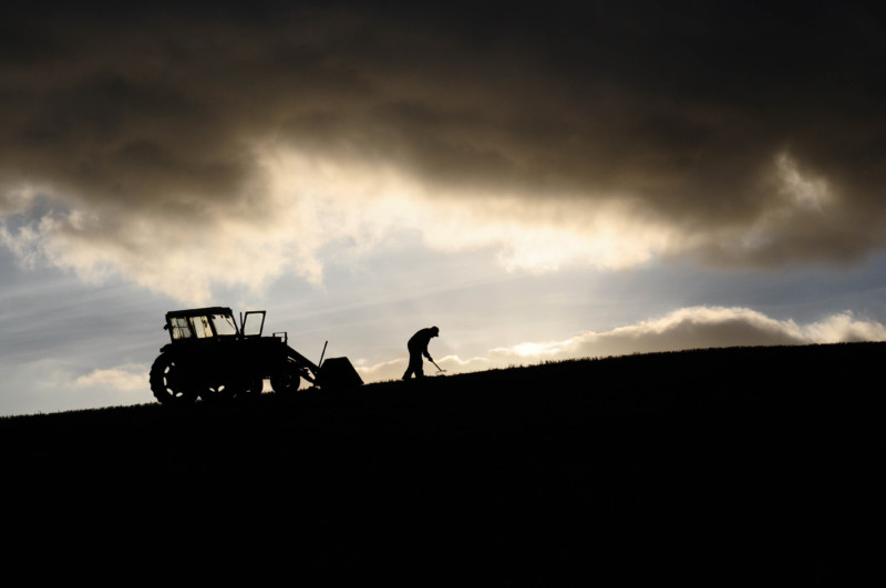 How The Farm Bill Could Affect Our Food System | Truthout