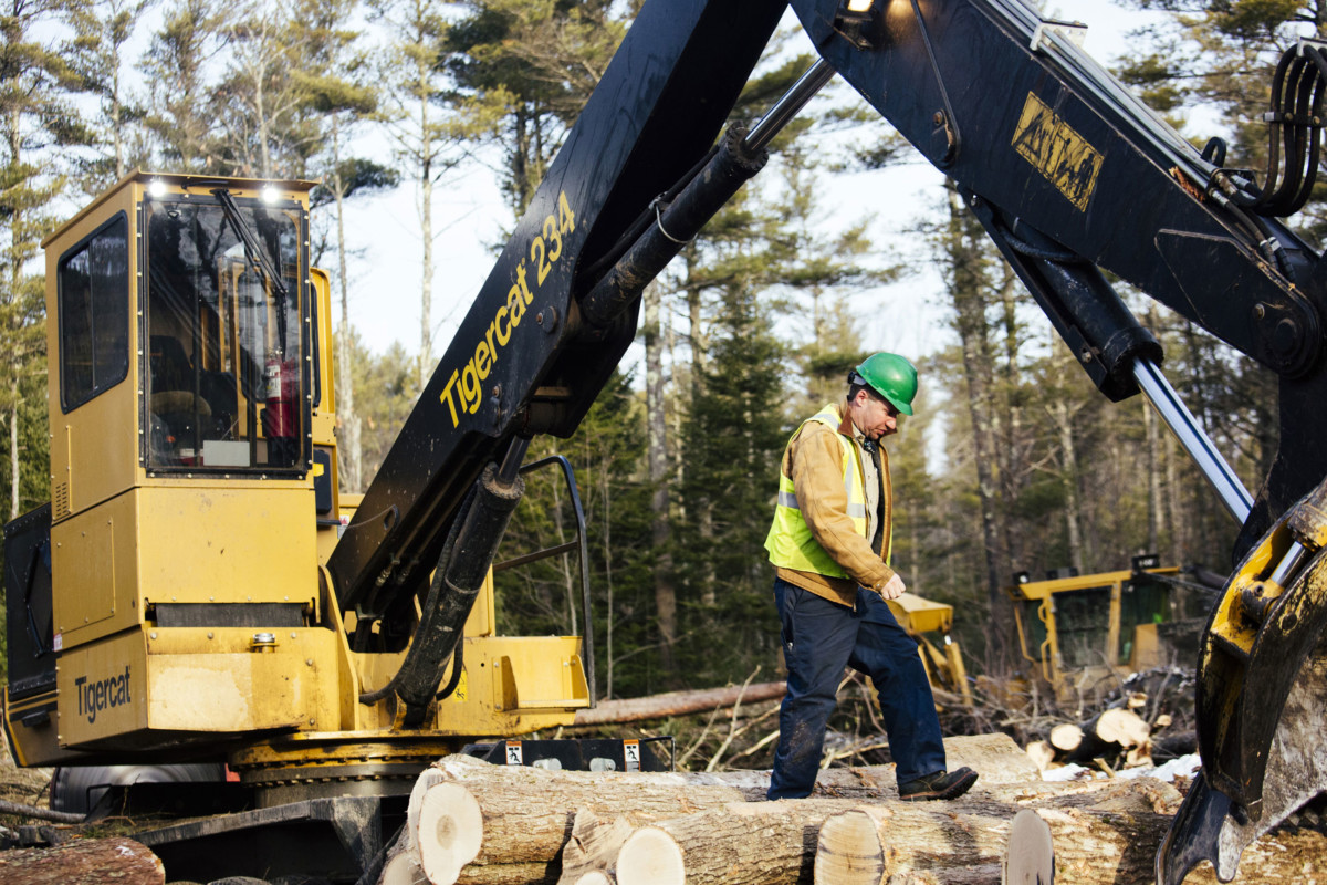 Maine Custom Woodlands owner Tom Cushman walks along stacked logs after feeding wood into a chipper to be sent as biomass fuel to ReEnergy in Brunswick, Maine, on January 26, 2016.