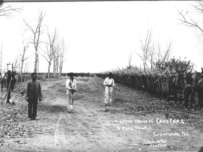 After the Civil War, Texas's sugar cane plantations were still farmed by unpaid black laborers – prisoners forced to work for free in a system called 'convict leasing.'