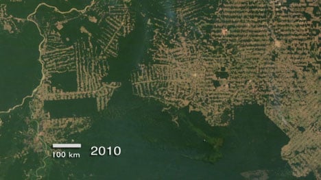 This NASA satellite image shows deforestation in the state of Rondonia in western Brazil, where land has been converted for cattle farming. 
