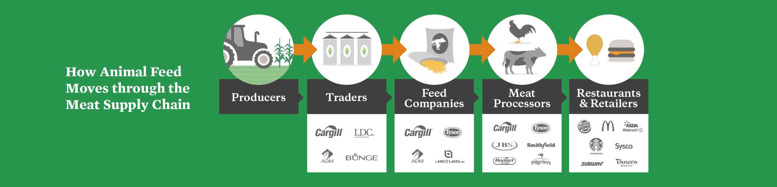 How animal feed moves through the meat supply chain.