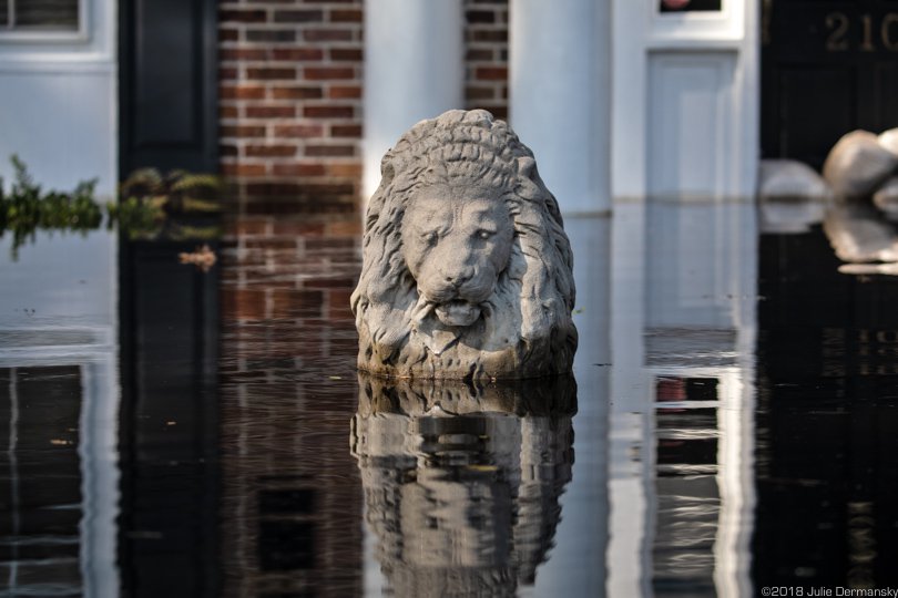 Lion sculpture in front of a flooded home in Conway, South Carolina.