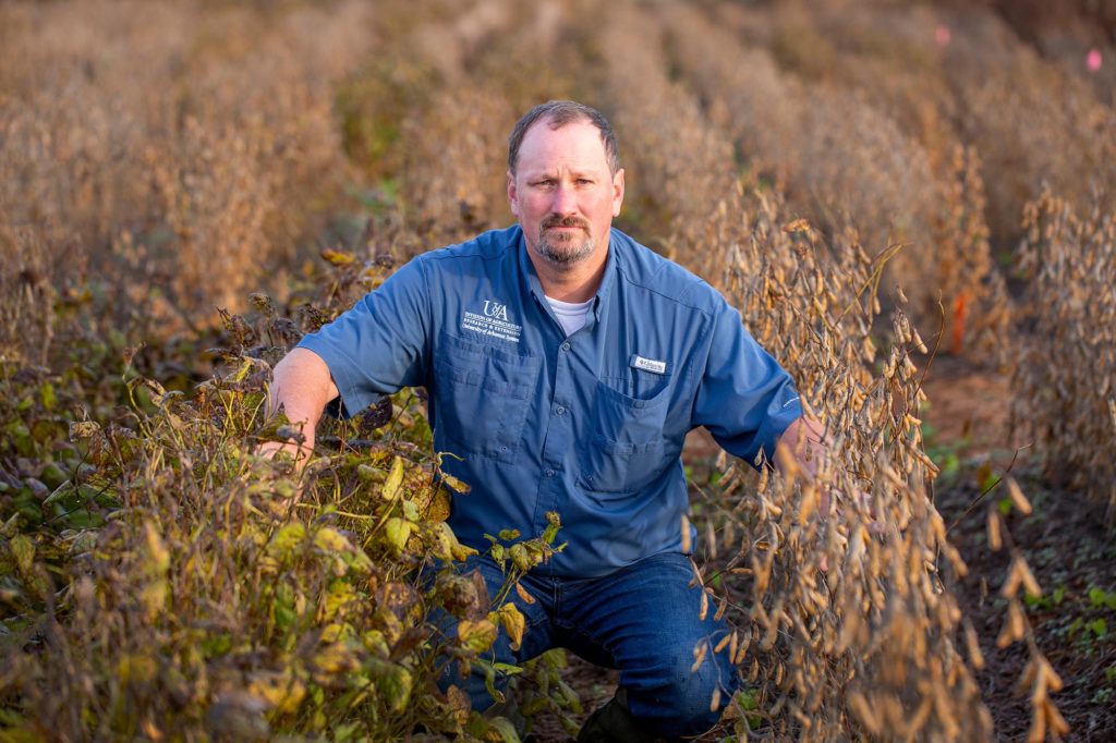 Weed scientist Jason Norsworthy stands in a soybean field at the Arkansas Agricultural Research & Extension Center farm in Fayetteville, Arkansas. His research indicates that even when dicamba is sprayed exactly as directed, it evaporates, drifts and damages crops.