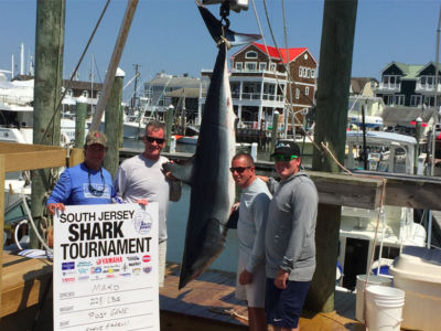 Mako sharks killed at the South Jersey Shark Tournament in June 2017.