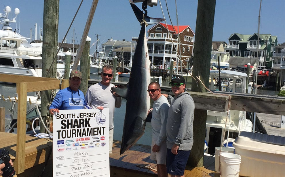 Mako sharks killed at the South Jersey Shark Tournament in June 2017.