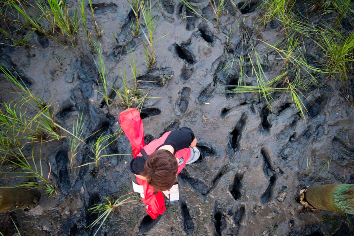 A young boy contemplates his next move as he trudges through knee-deep marsh mud to view the Assateague wild ponies' arrival during the annual Chincoteague Island Pony Swim in Chincoteague Island, Virginia, on July 26, 2017.