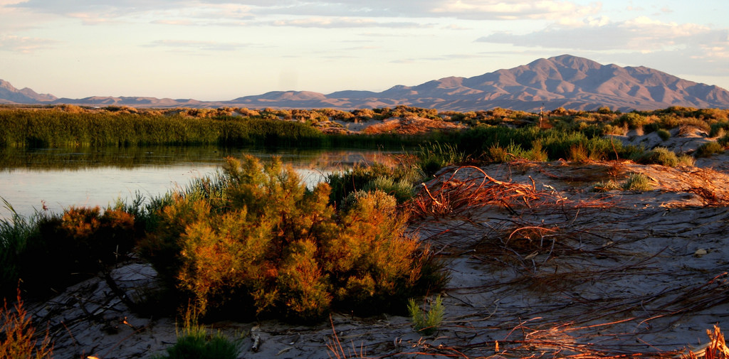 Ash Meadows National Wildlife Refuge, Nevada.
