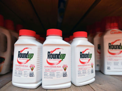 Roundup products for sale at a Home Depot store in San Rafael, California
