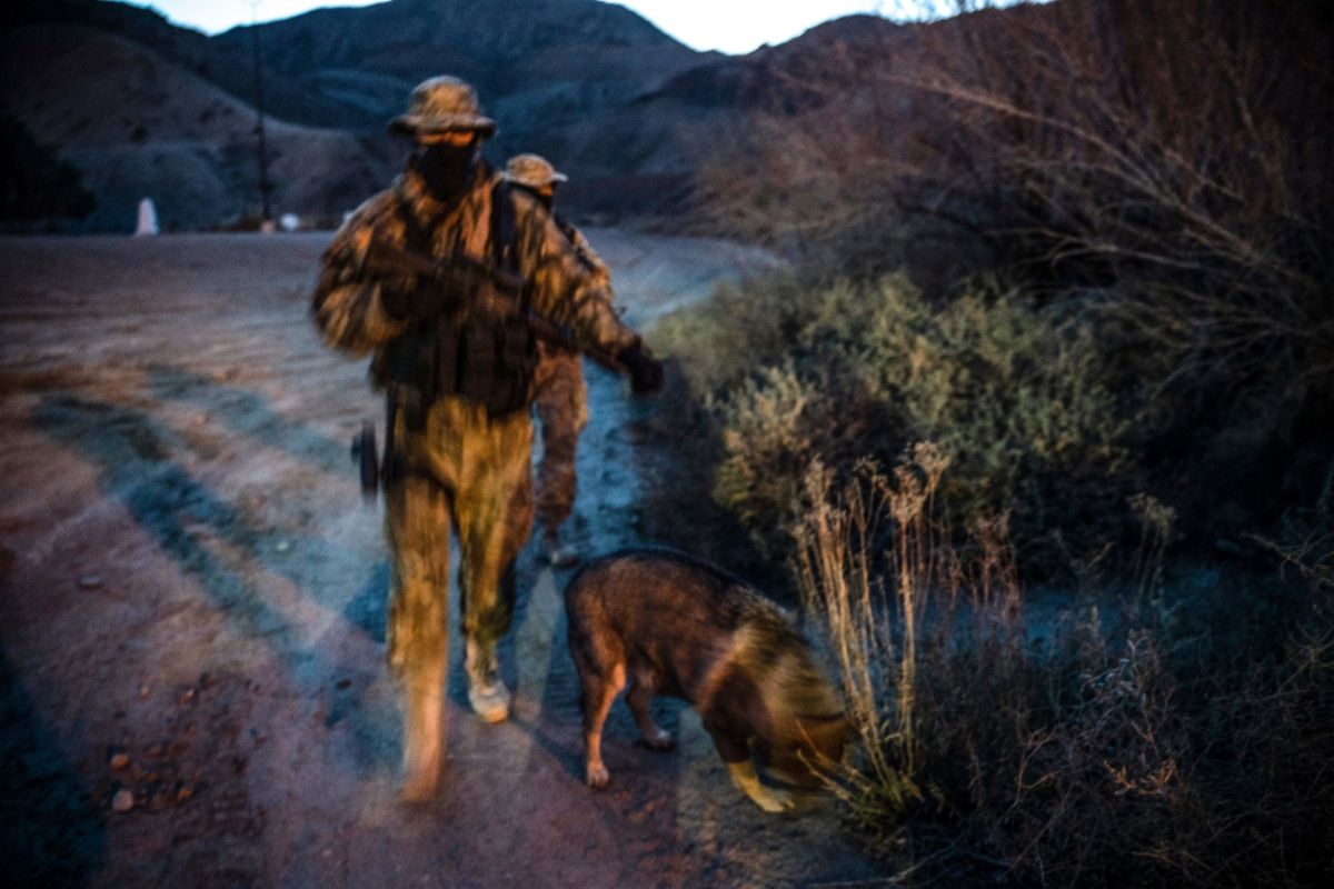 Two men in camoflague and an attack dog walk through the desert