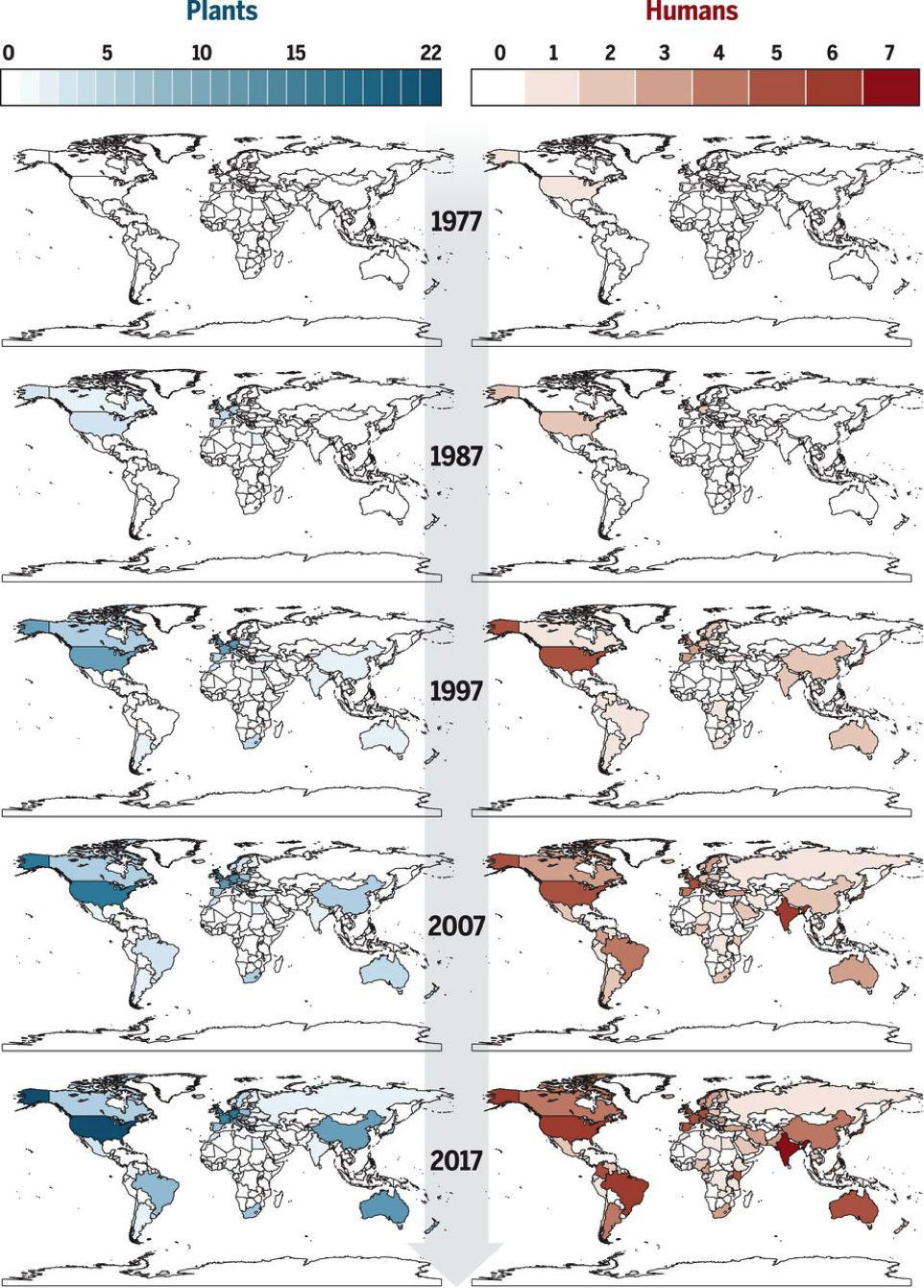 A chart of Number of peer-reviewed reports of resistance to azole fungicides for plants (in blue) and in humans (in red) for pathogens Aspergillus fumigatus, Candida albicans, C. auris, C. glabrata, Cryptococcus gattii, and Cryptococcus neoformans. 