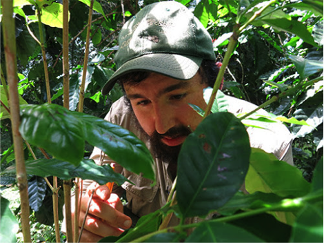 A photo of a bearded man in a hat examining plants.