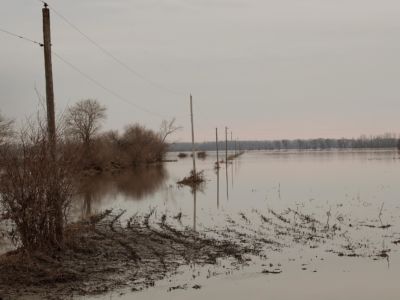 Floodwater recedes from a corn field on March 23, 2019, near Union, Nebraska.