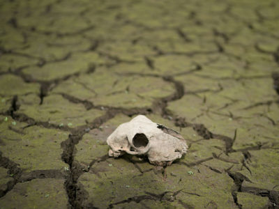 The dried up bed of Wayoh Reservoir near Bolton as the heatwave continues across the U.K. on July 23, 2018, in Bolton, England. A United Nations report scheduled for official release on Monday will say that up to 1 million species face extinction as a result of human activity.
