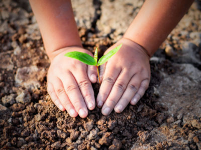 Regenerative farming has the potential to heal our planet by creating a massive carbon sink.