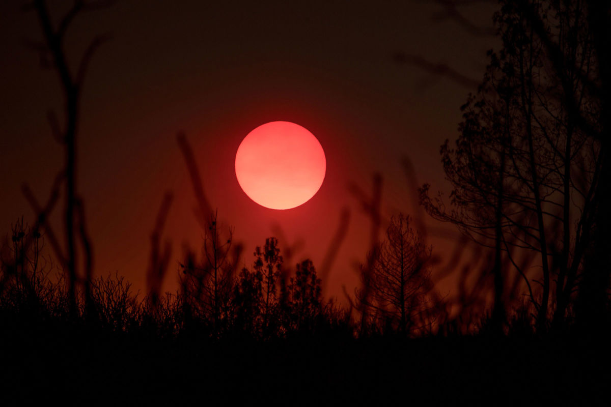 Burnt trees stand as the sun sets in a smokey skyline in Mariposa, California, on July 19, 2017.