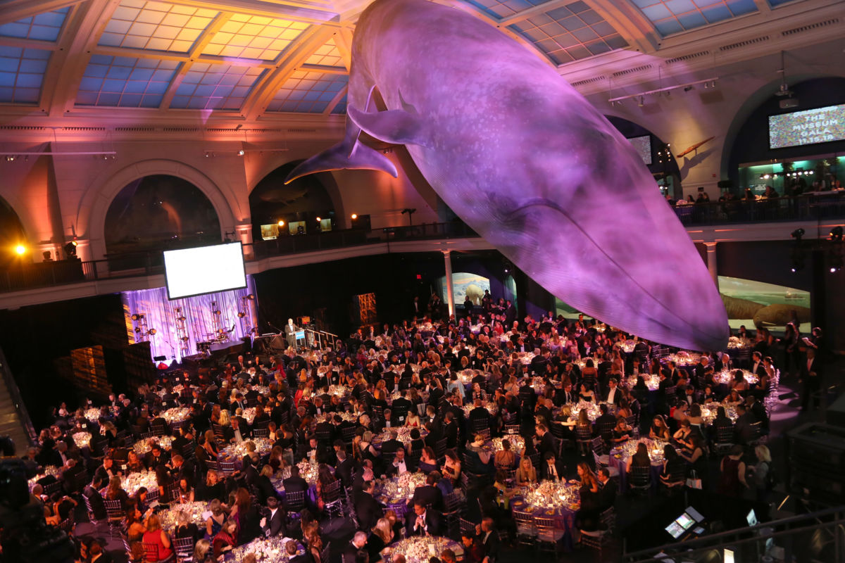 A large recreation of a whale hangs over tables seated with people at a gala