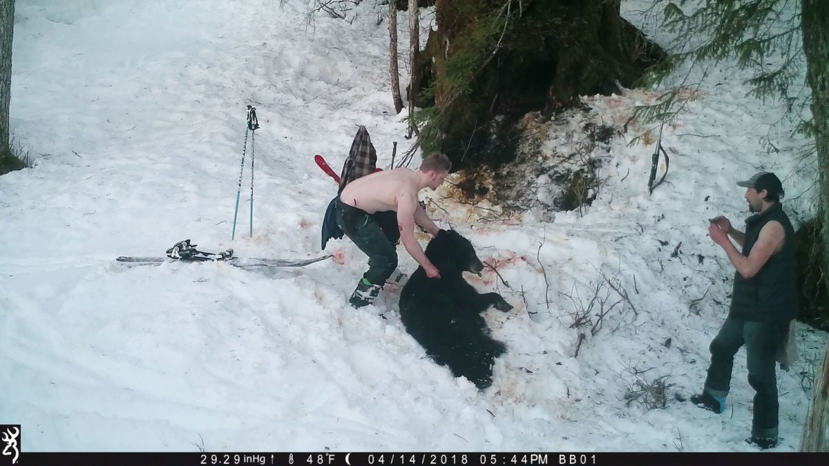 A wildlife camera captures Andrew Renner and his son, Owen, illegally killing a mother bear and her cubs in Alaska. The camera, originally set up as part of a wildlife study, also documents them tampering with evidence two days later.