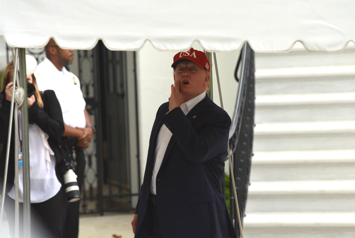 President Trump speaks to press on the South Lawn of the White House on June 7, 2019, in Washington, D.C.