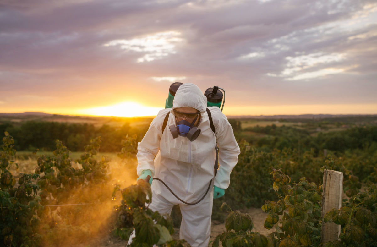 A man sprays pesticides on farm land.