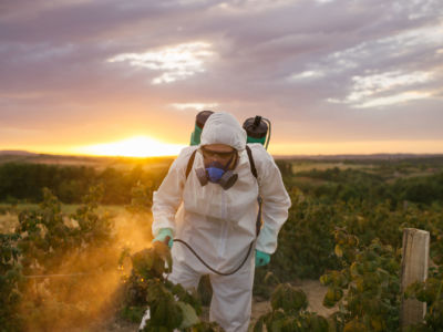 A man sprays pesticides on farm land.
