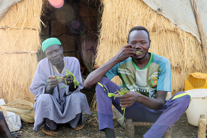 To men sit in the doorway of a house eating leaves