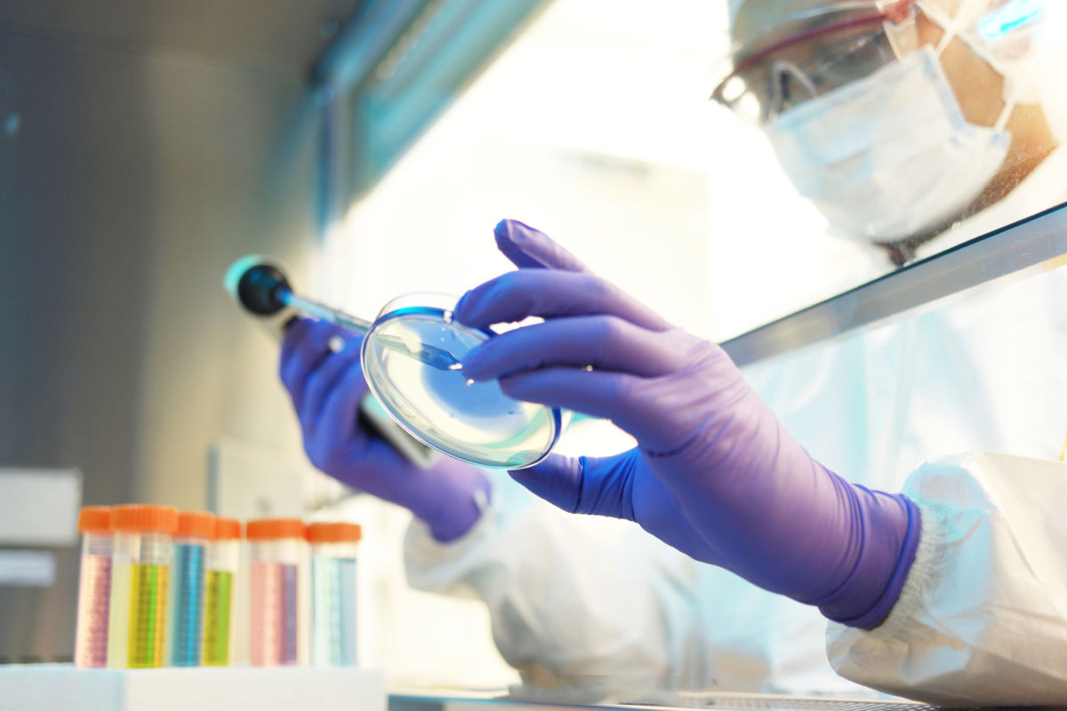 A scientist drops material into a petri dish with a pipette