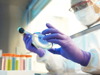 A scientist drops material into a petri dish with a pipette