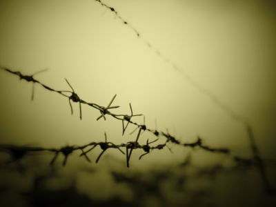Black and white barbed wire
