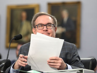 EPA Administrator Andrew Wheeler testifies during a House Appropriations Subcommittee hearing on Capitol Hill, April 2, 2019, in Washington, D.C.